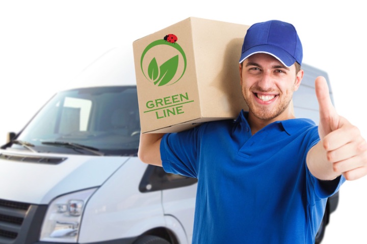 App-development-model-img